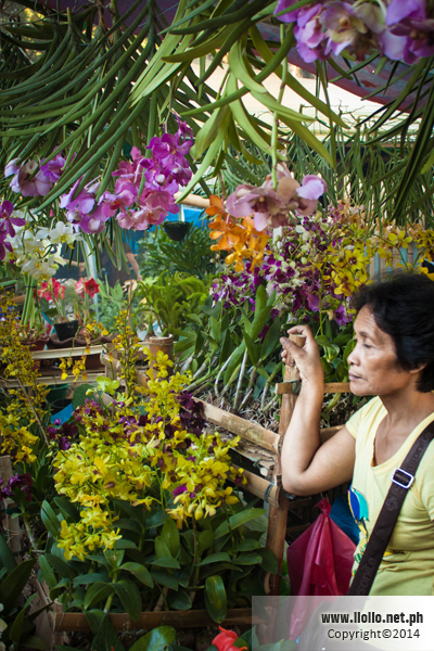 Jaro Orchid Vendor